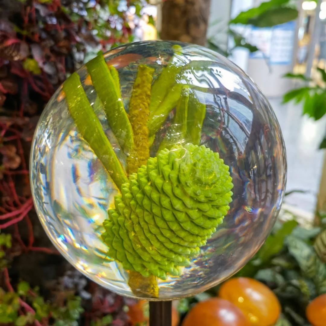 卡哇伊伊嘚哇