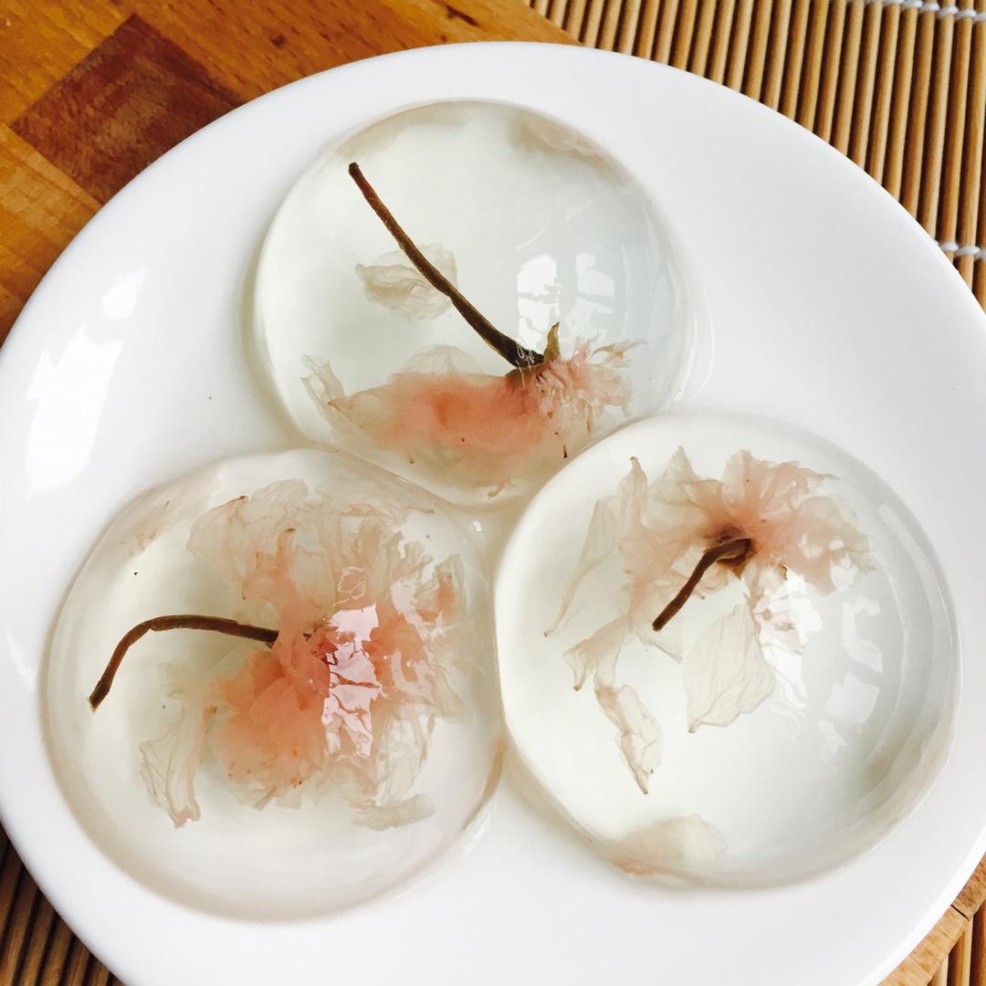 yvonne729做的日本最温柔的梦幻和菓子水信玄饼