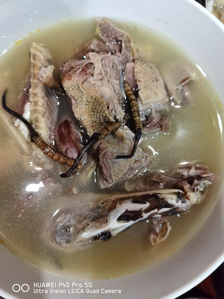 虫草老鸭汤