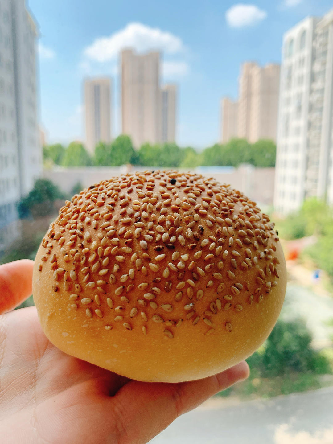 做了10000个汉堡胚后，我来教你最简单的做法