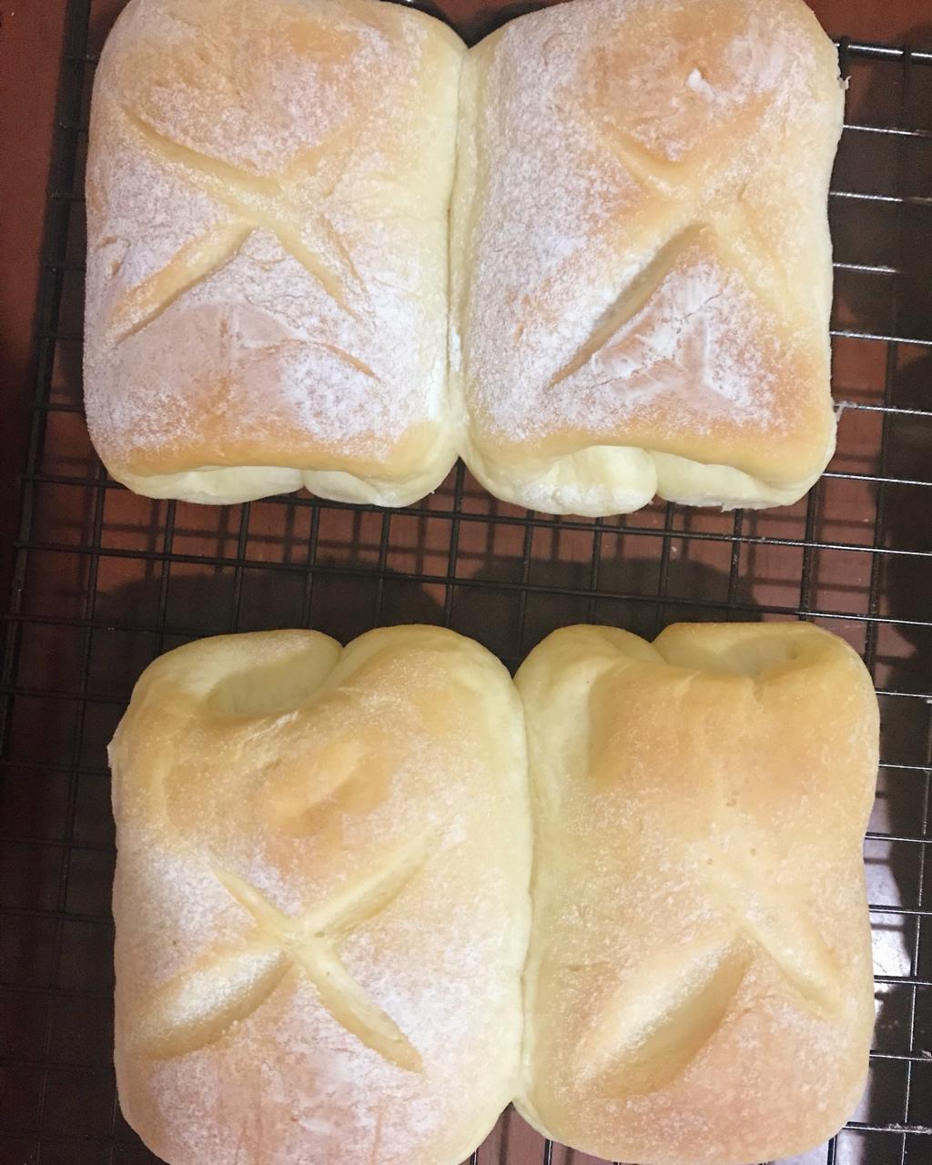 软到不知所措的牛奶卷