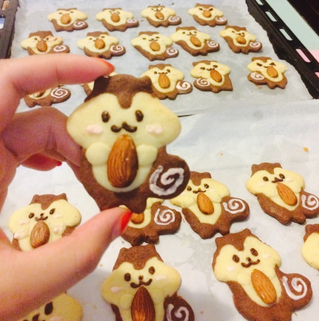 松鼠饼干