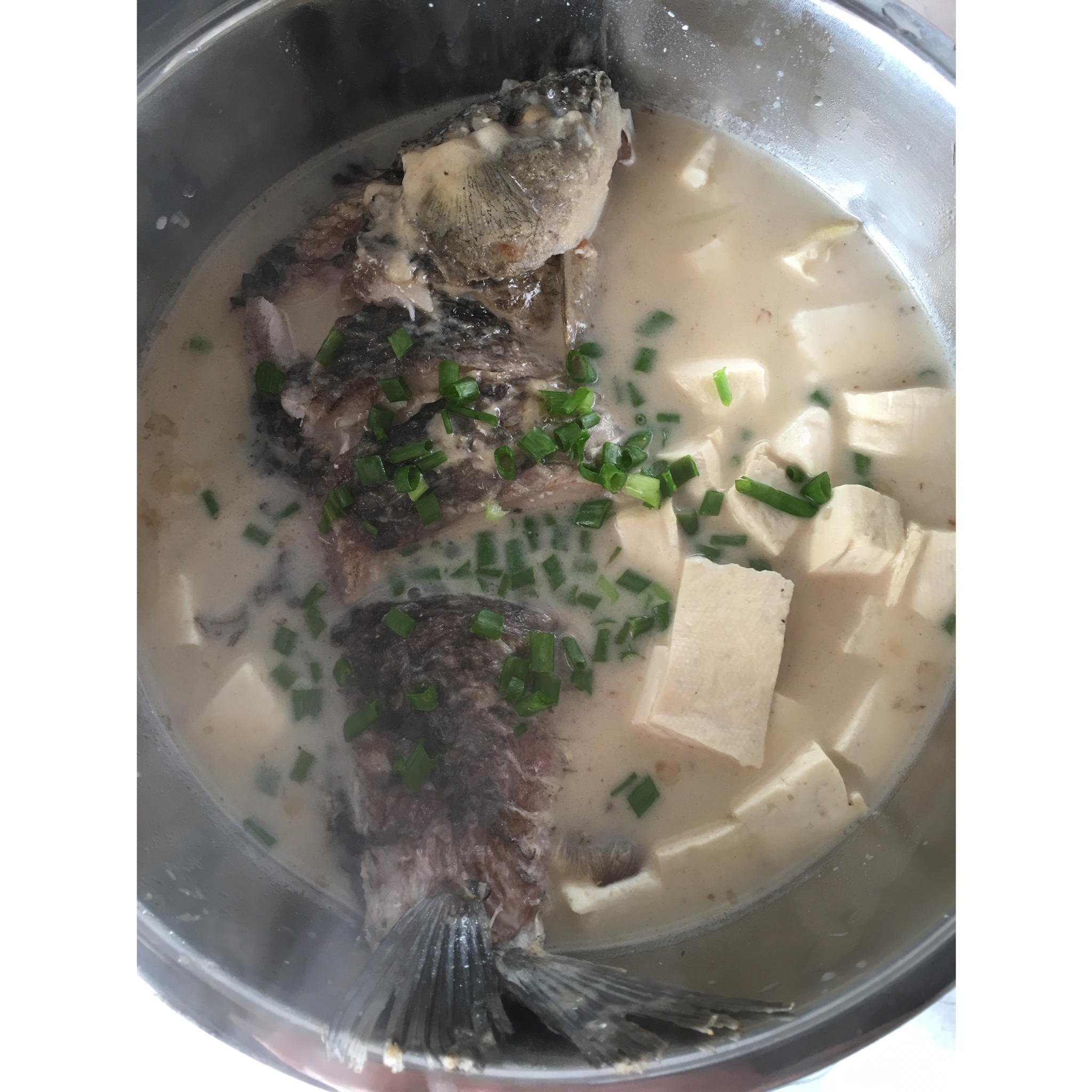 奶白鲫鱼汤的秘诀！