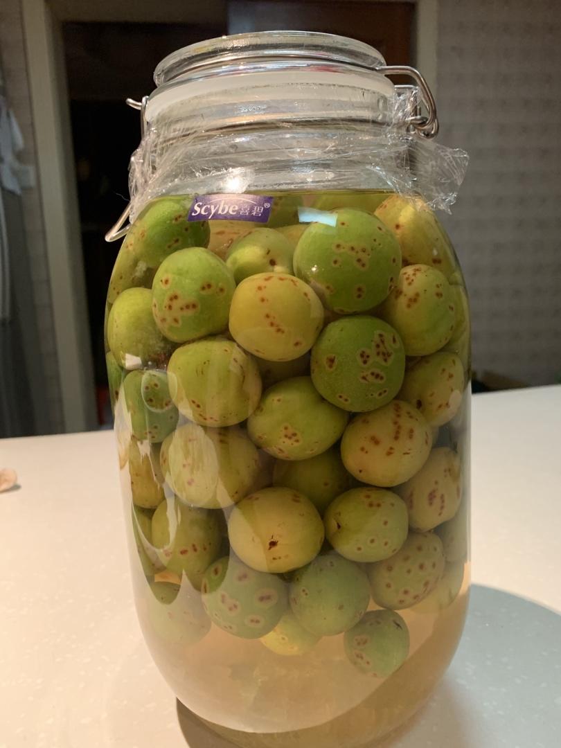 【青梅酒】梅子的沉醉时光（已填坑）