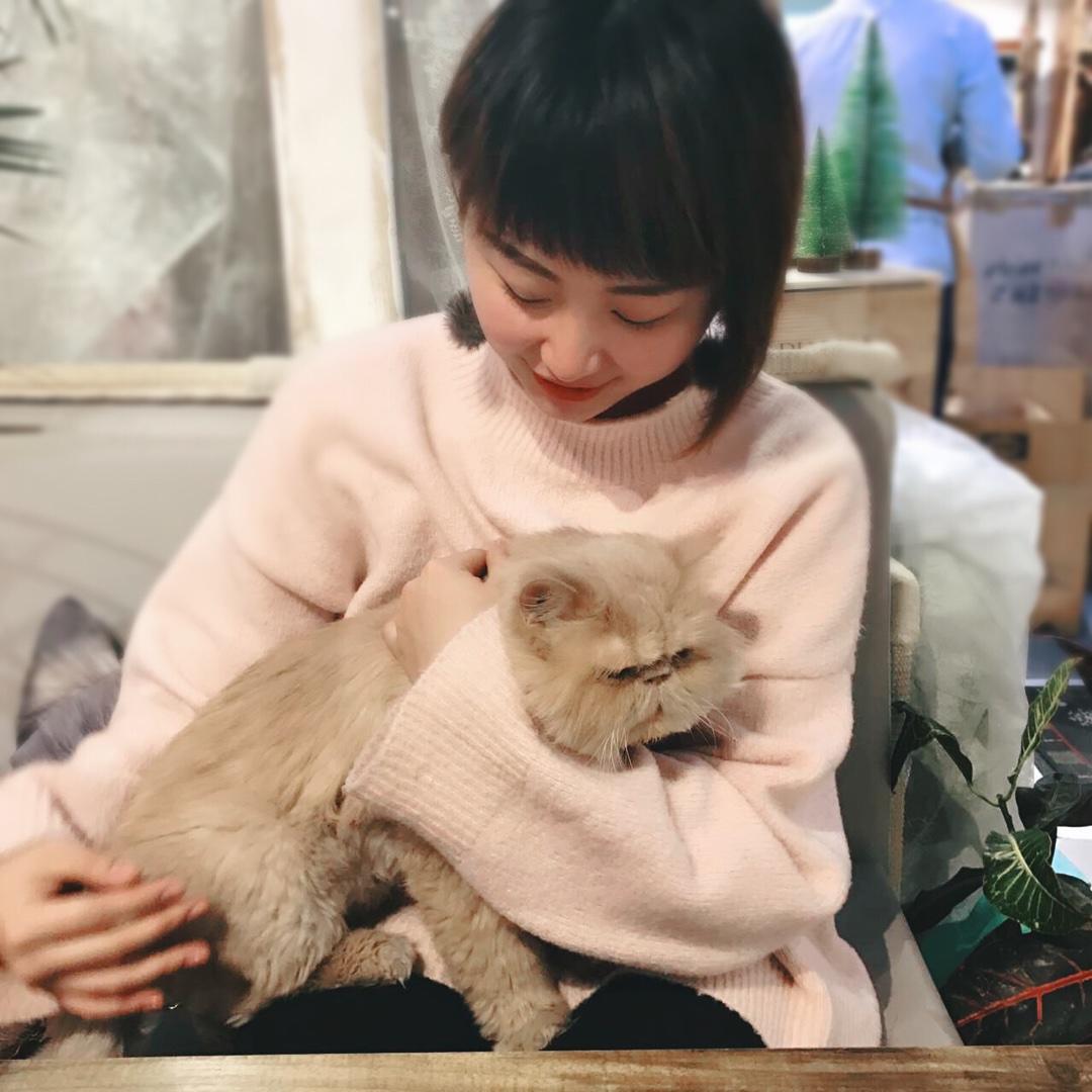 王西奇sissi