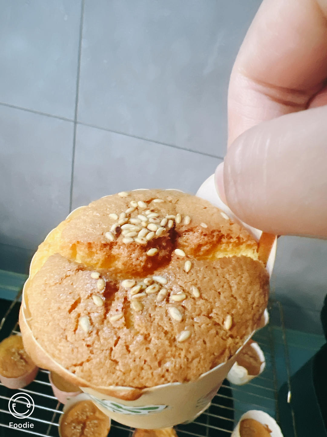 🪭小美鸡蛋糕○Cookidoo