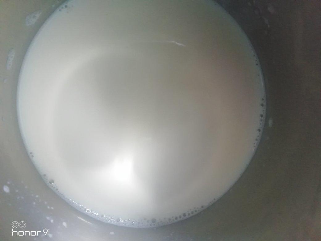 无需酸奶机的自制酸奶