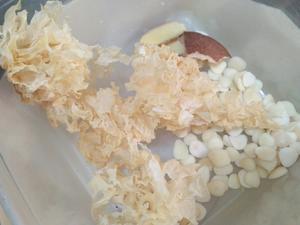 秋季润燥汤（雪梨雪耳南北杏炖隔沙）的做法 步骤1