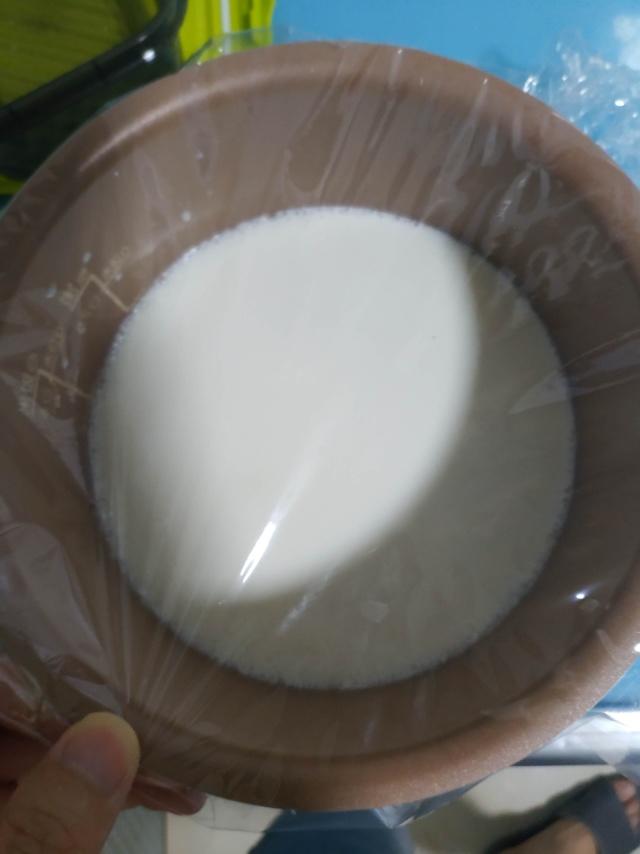 自制酸奶，没有酸奶机，也没有乳酸菌粉，也做成了老酸奶……不过家里得有个带发酵功能的烤箱才行……