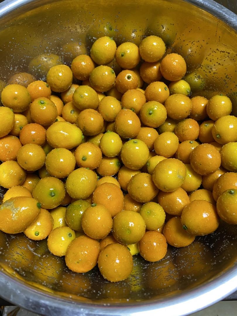 万能止咳王：冰糖金桔膏