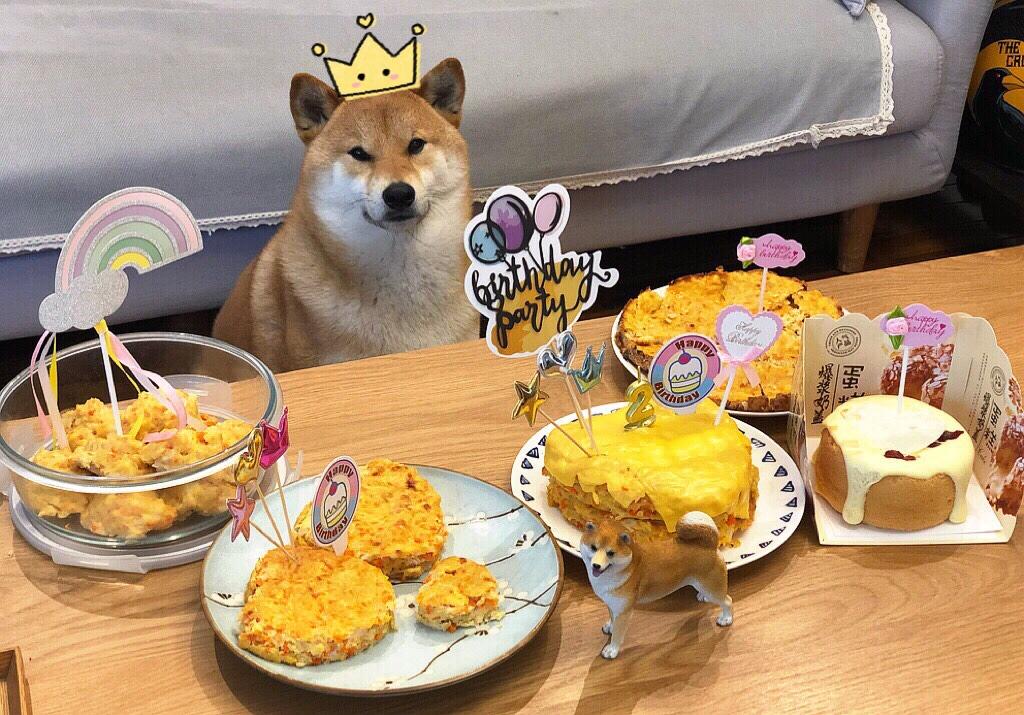 狗狗生日蛋糕/自制健康营养狗粮