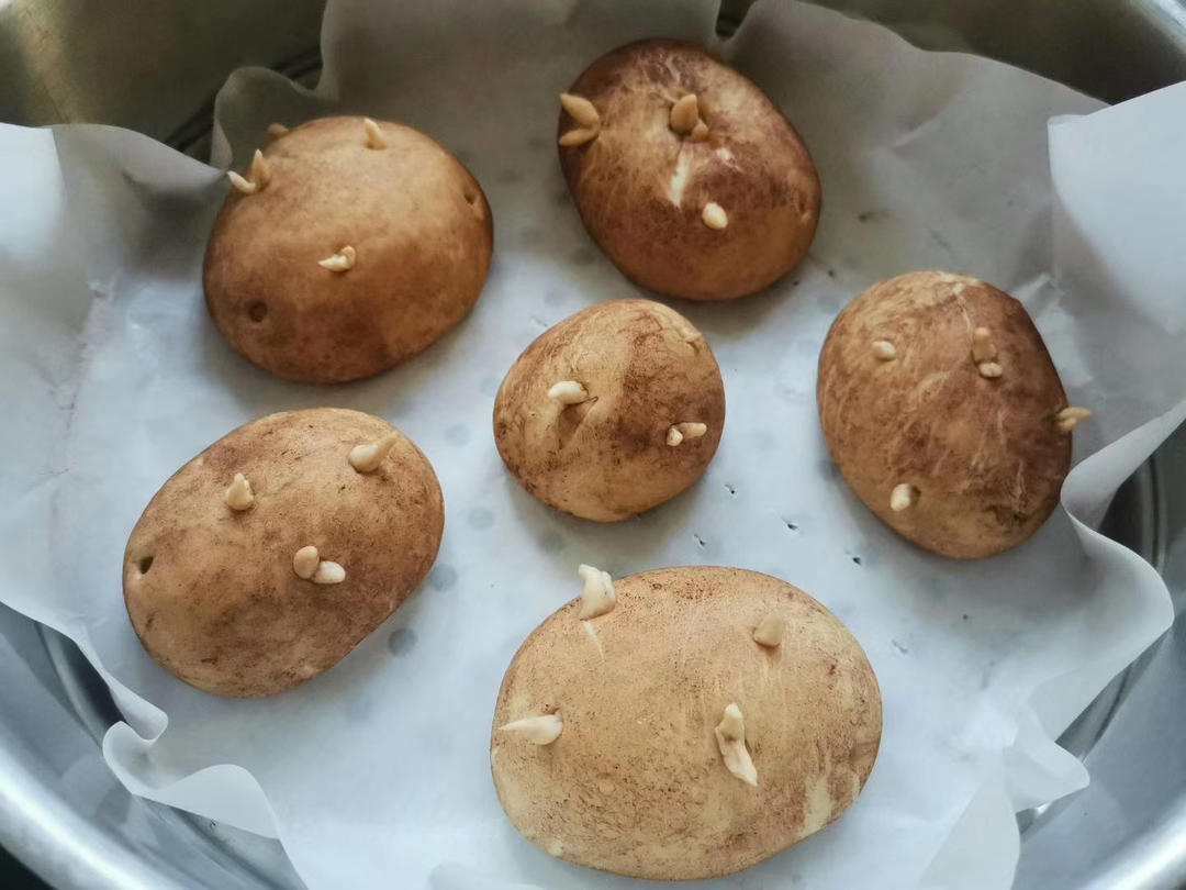 骗纸土豆🥔（玉米面馒头）