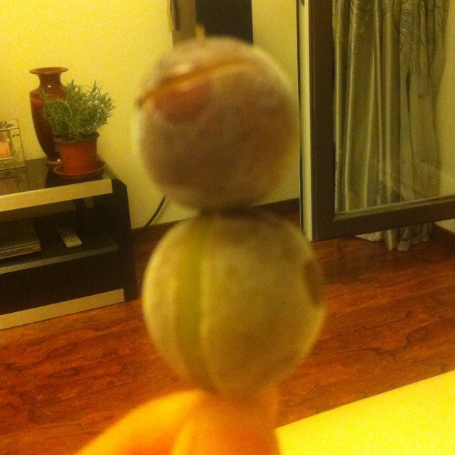 【冰棒葡萄串】猴子也会做