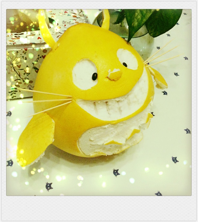 五朶儿做的柚子龙猫