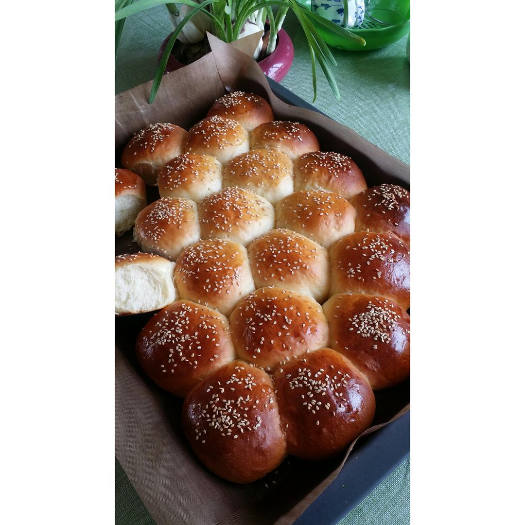 最好吃的酸奶小餐包