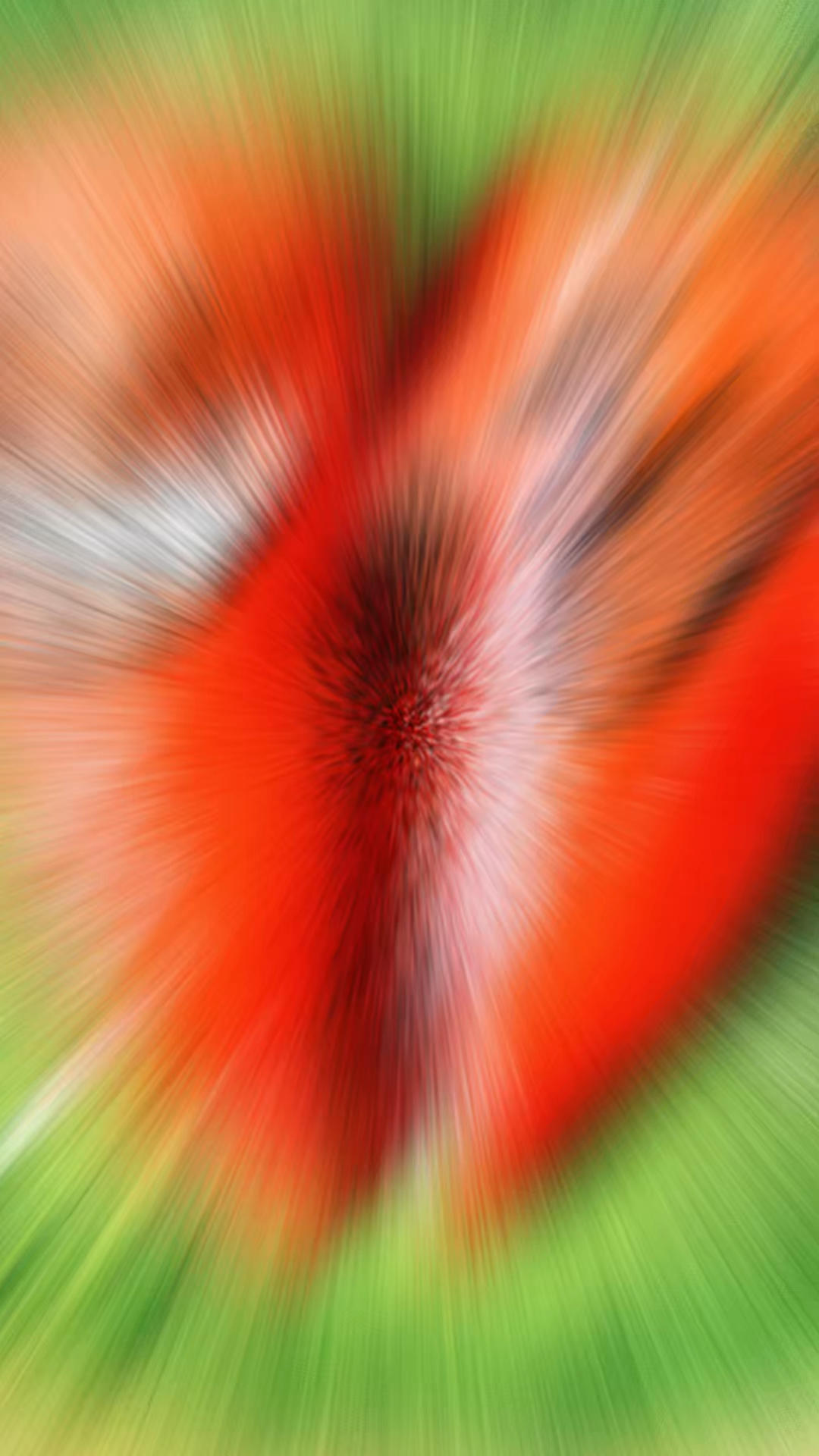 一只仙仙喵的早餐～❤️❤️❤️