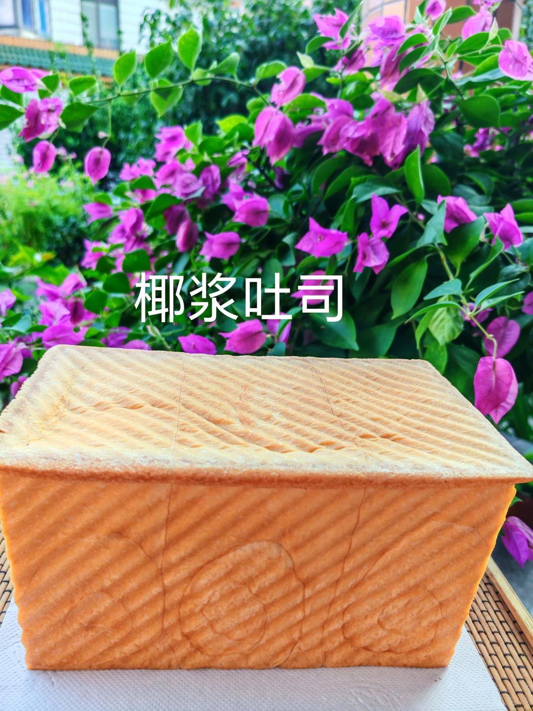 椰浆吐司🍞一次发酵