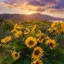 缪丹就是那个面点缪丹