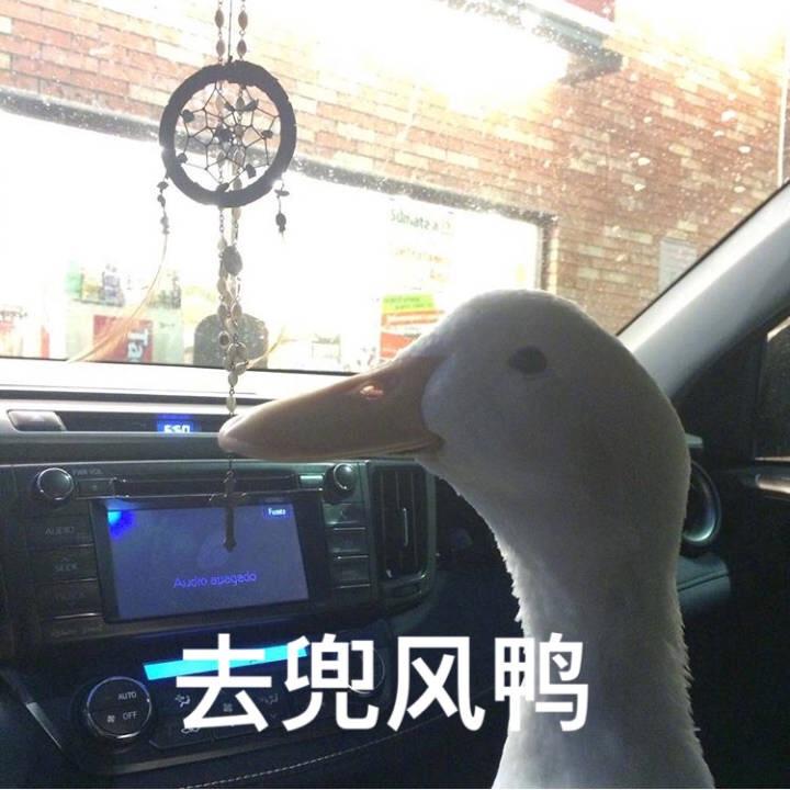 来自星星的藕