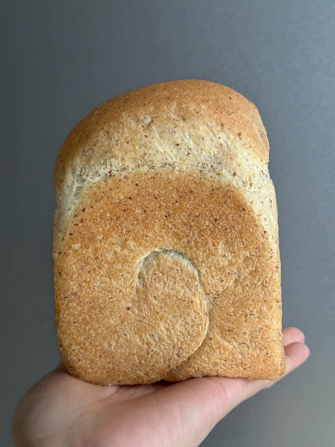 波兰种全麦吐司（40%全麦）