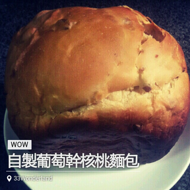 面包机版 葡萄干吐司