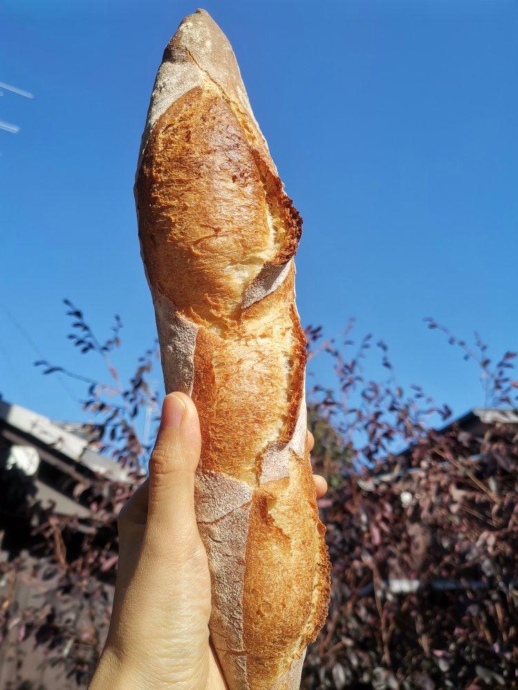 家用烤箱之简单的手揉法棍（全程动态示例）