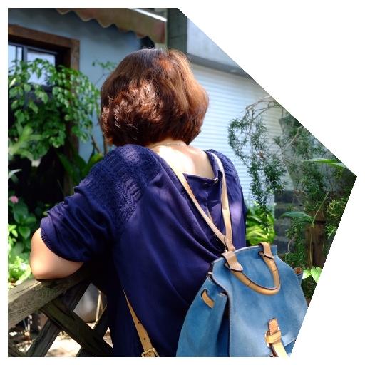 HZ叶子