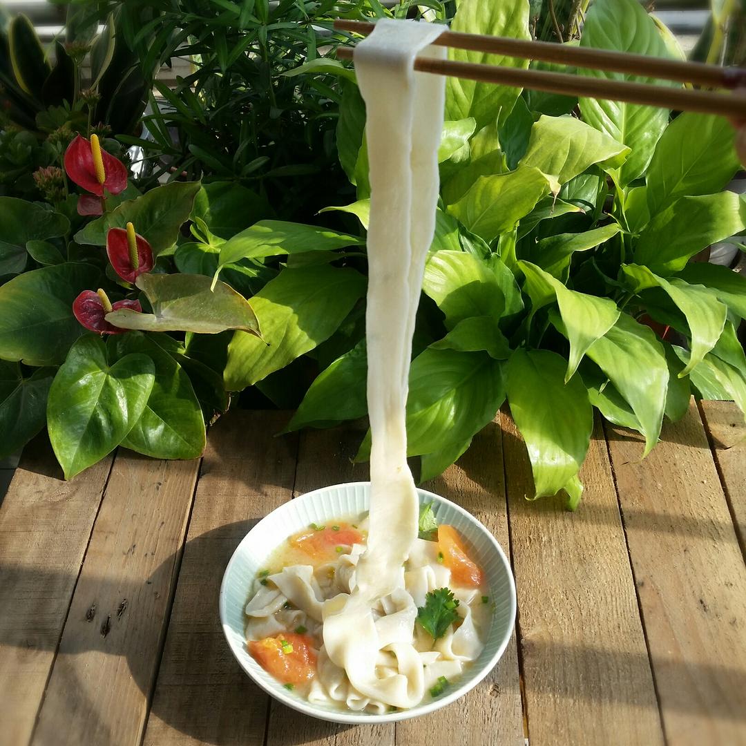 扯面的做法 步骤23