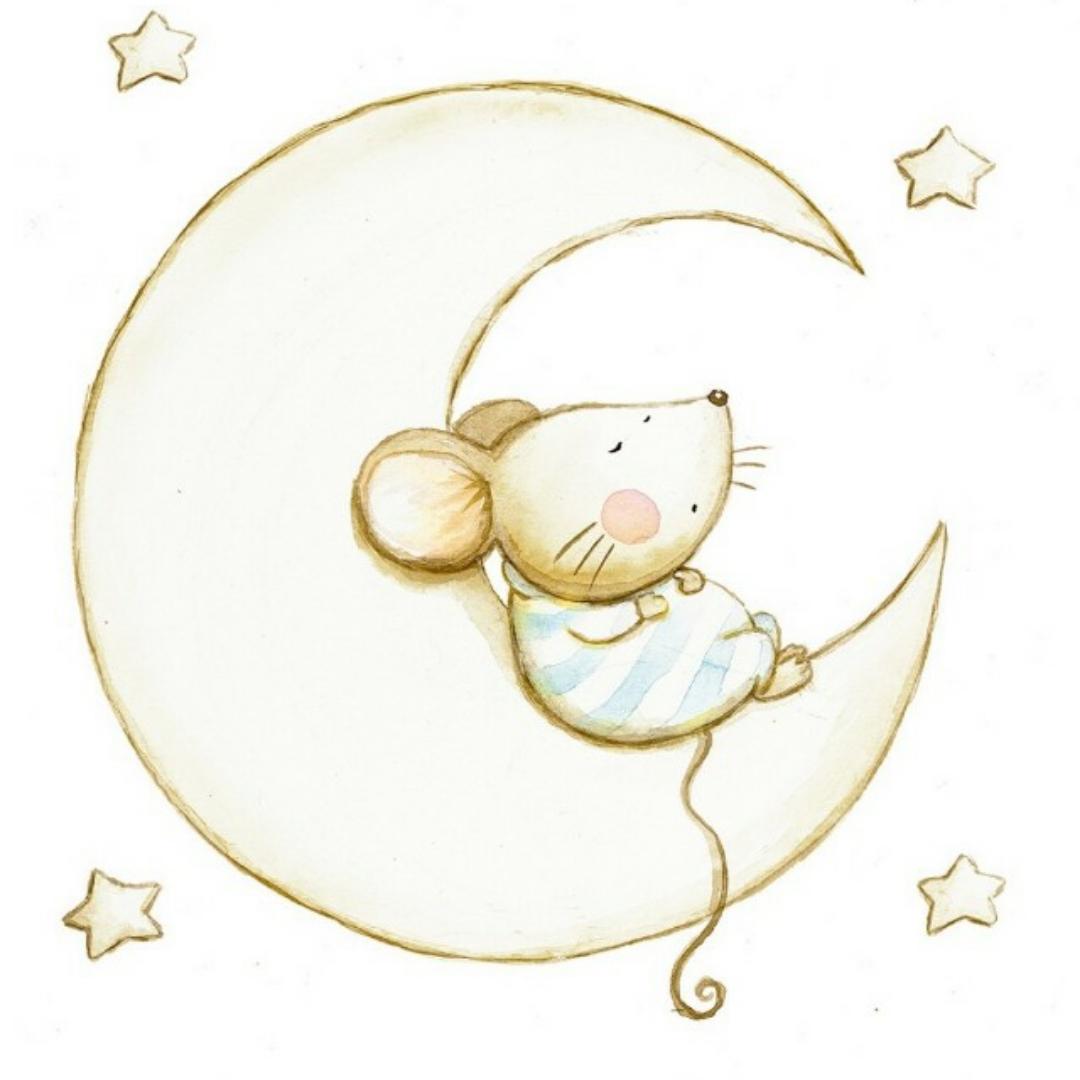 会变身的小厨娘