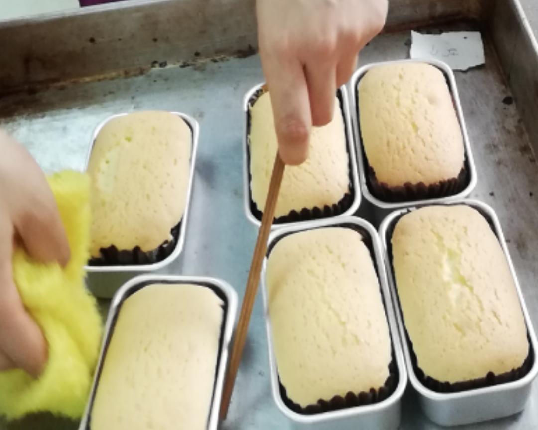 海绵蛋糕(成人高校版)