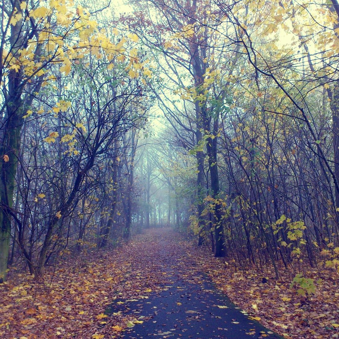 ^讨厌数理化的童鞋