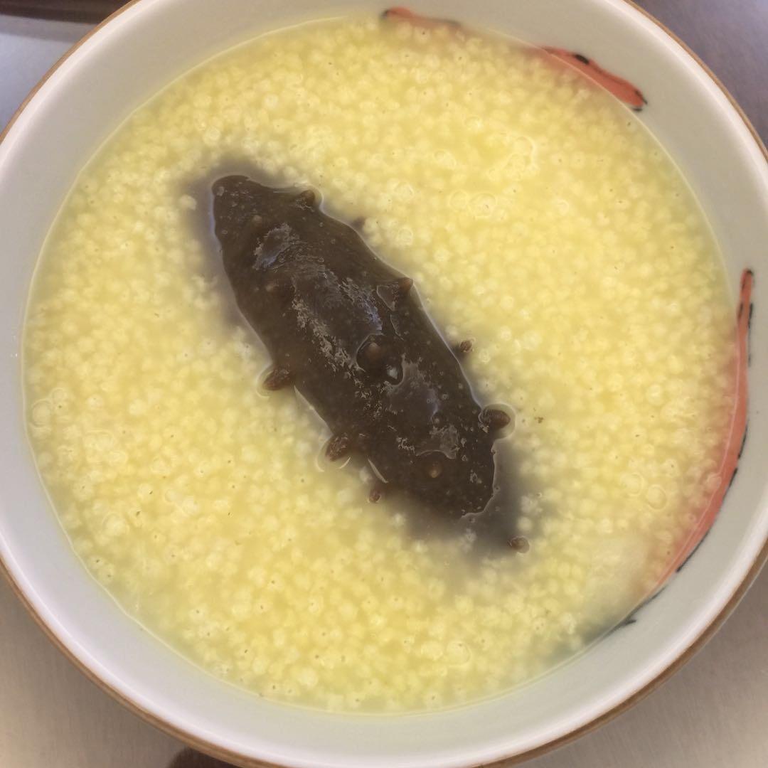 小米海参粥