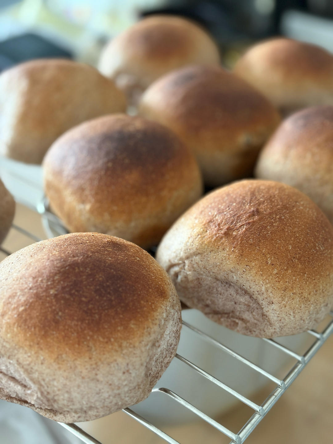 波兰种+一发冷藏的蓝莓果酱吐司（无蛋奶）