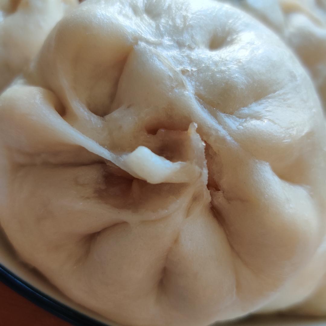 好吃多汁的肉包子肉馒头【步骤超详细】