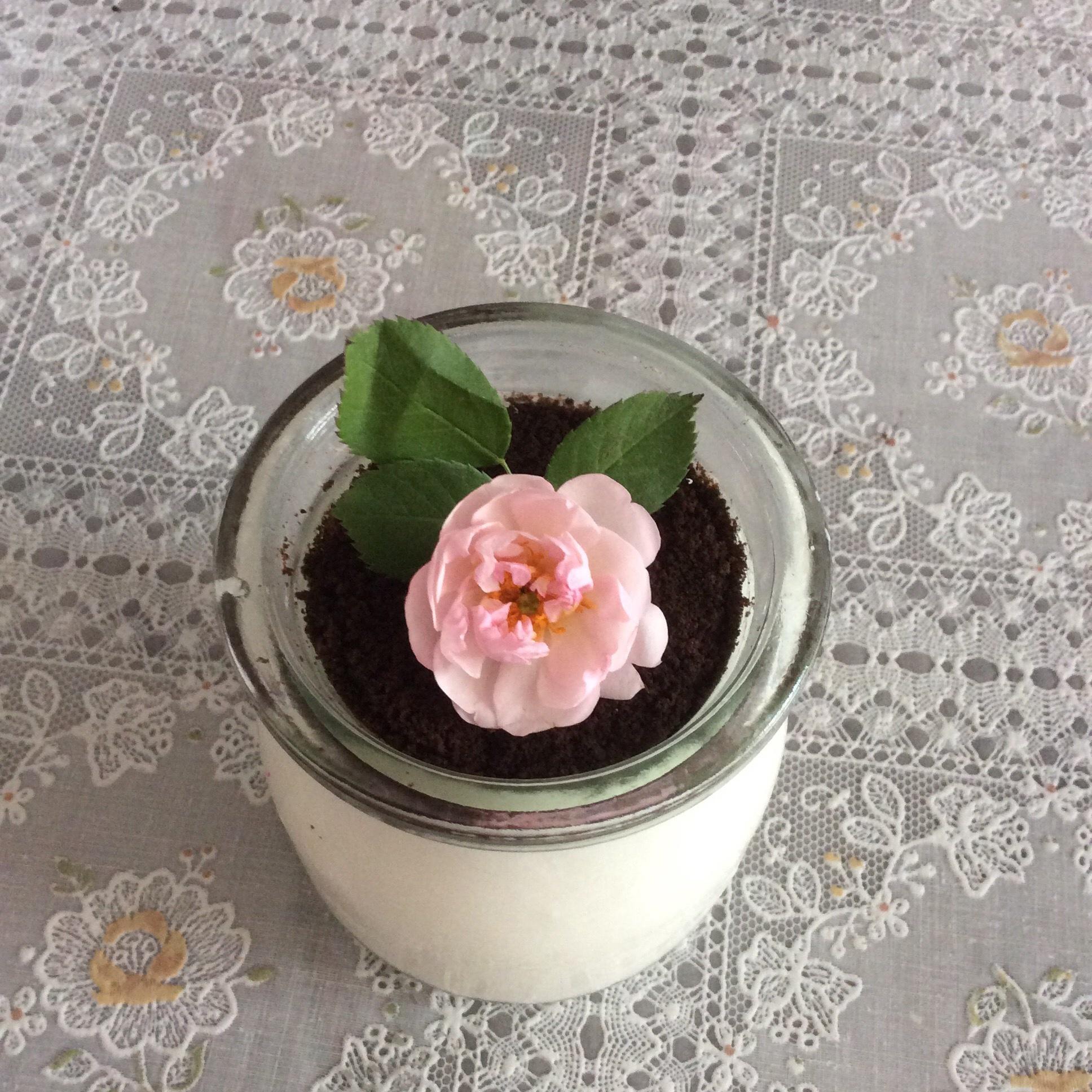 酸奶盆栽的做法 步骤6