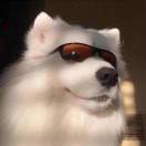 手机用户9030_c5ef