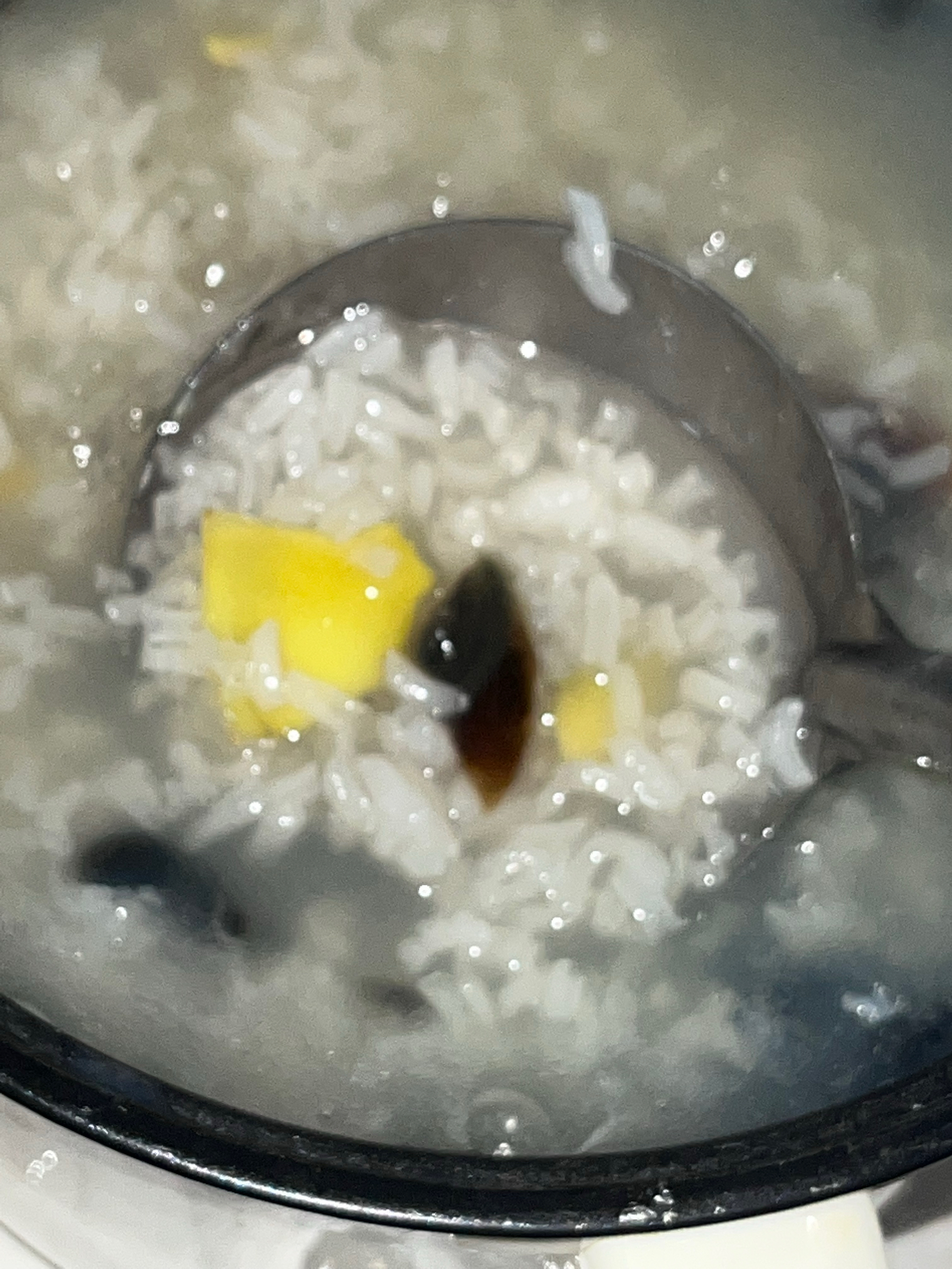 宿舍小电锅煮皮蛋粥的做法 步骤3