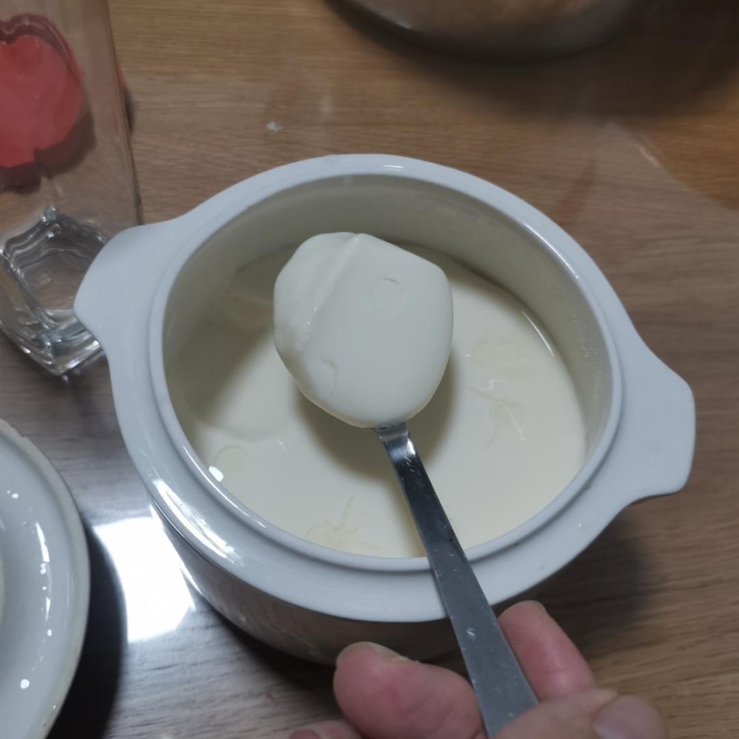 奶粉和酸奶机自制酸奶