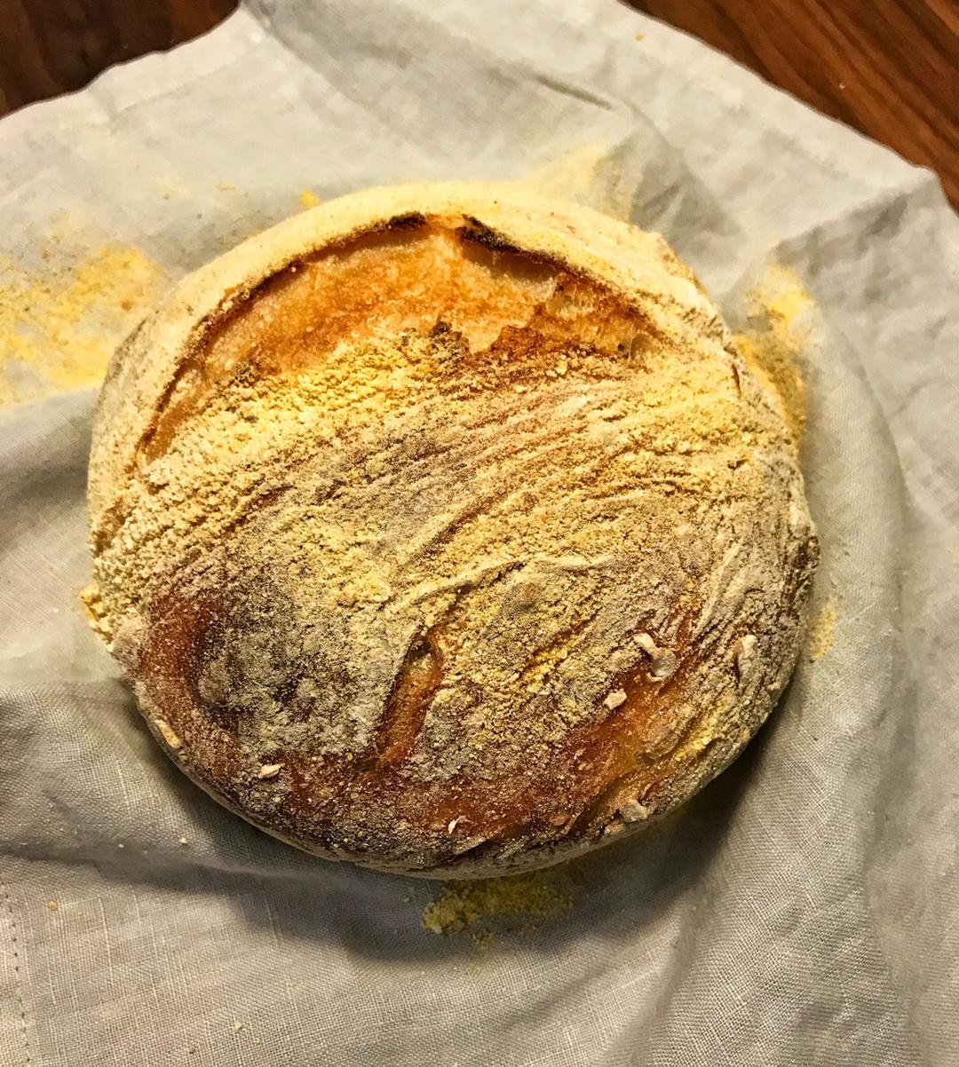 欧包/乡村面包-无油不用揉 No Knead Bread