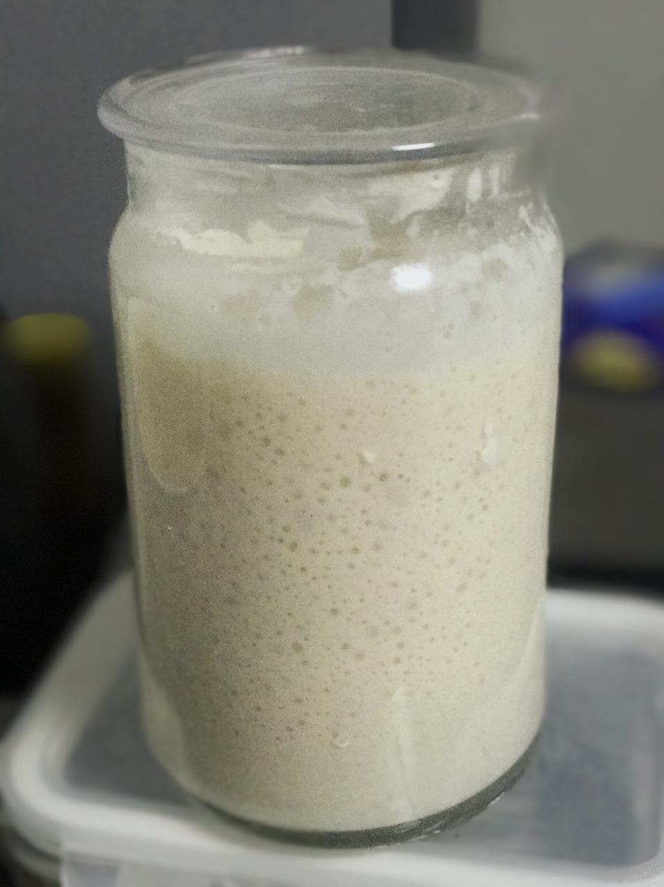 【Ken Forkish】天然酵种培养