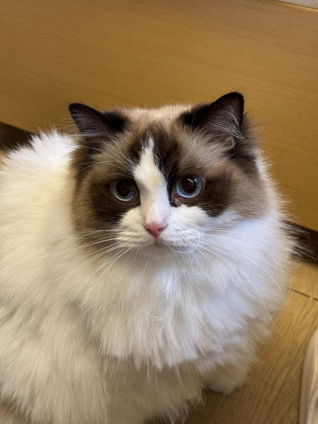 好吃好吃好吃好吃超好吃