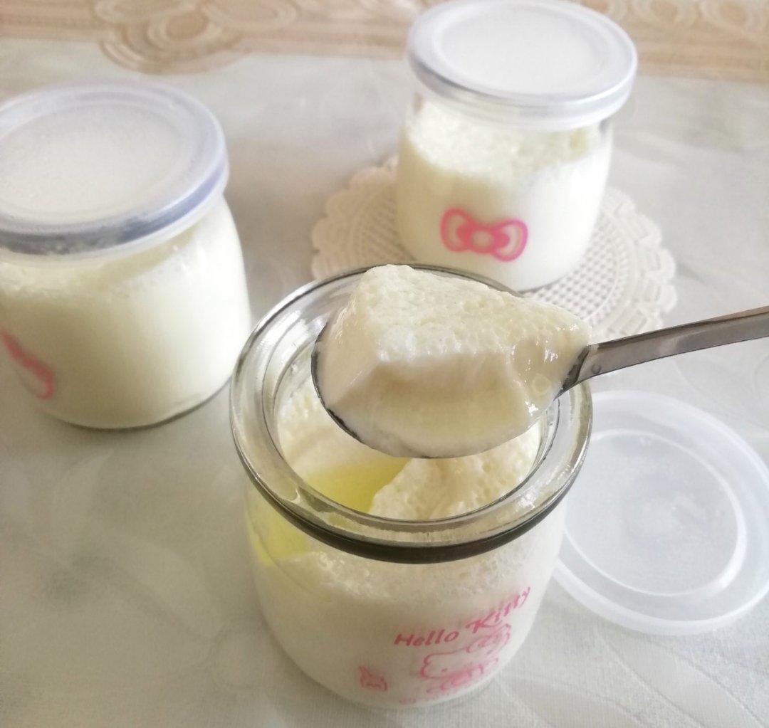 自制酸奶（奶粉版）