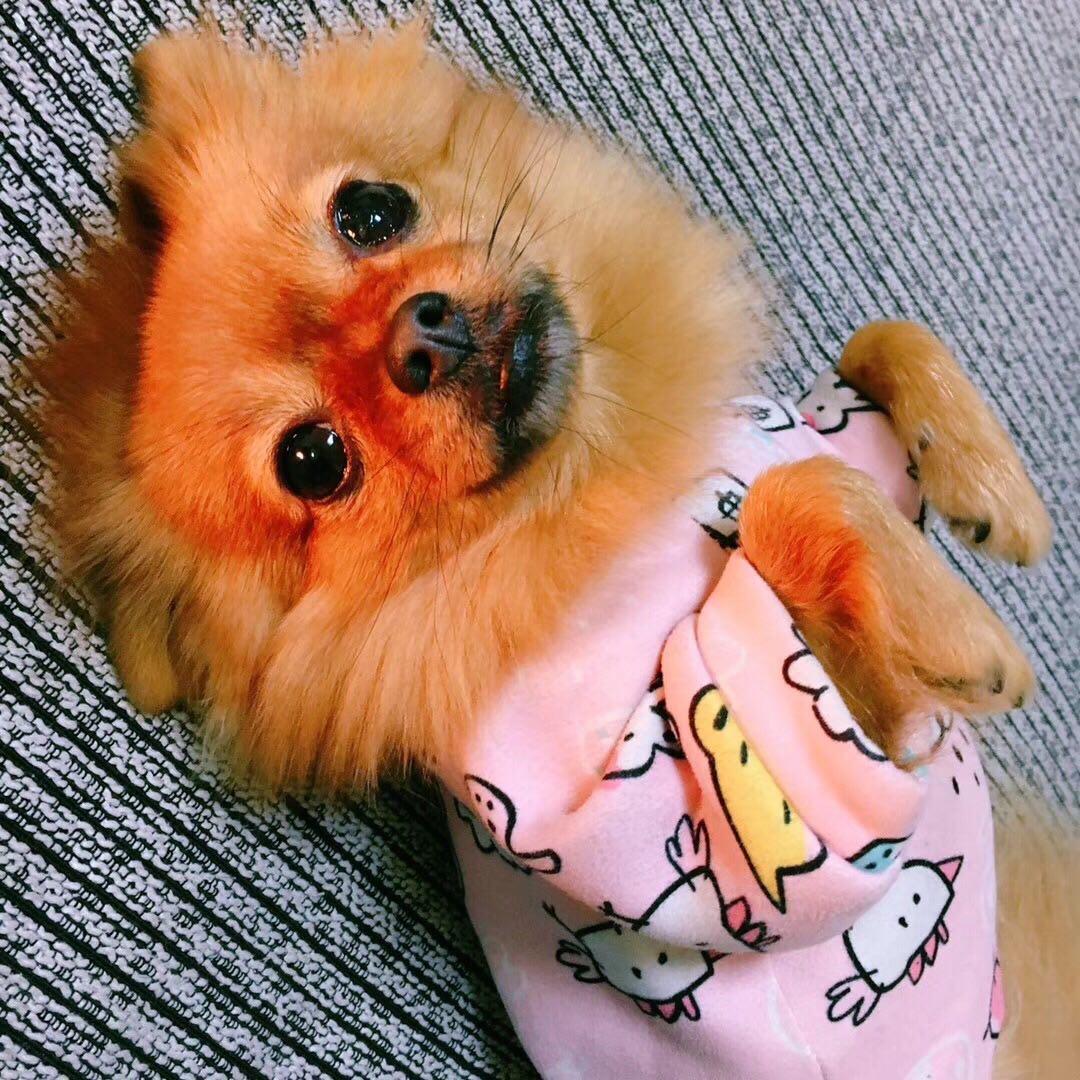 小食记录