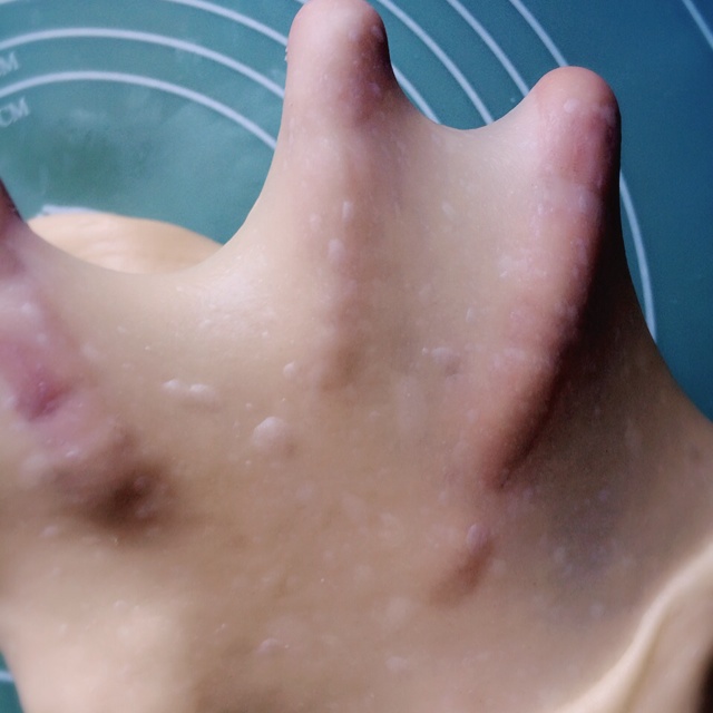 夺命软吐司(๑´ڡ`๑)超软拉丝极速方便的一次发酵吐司