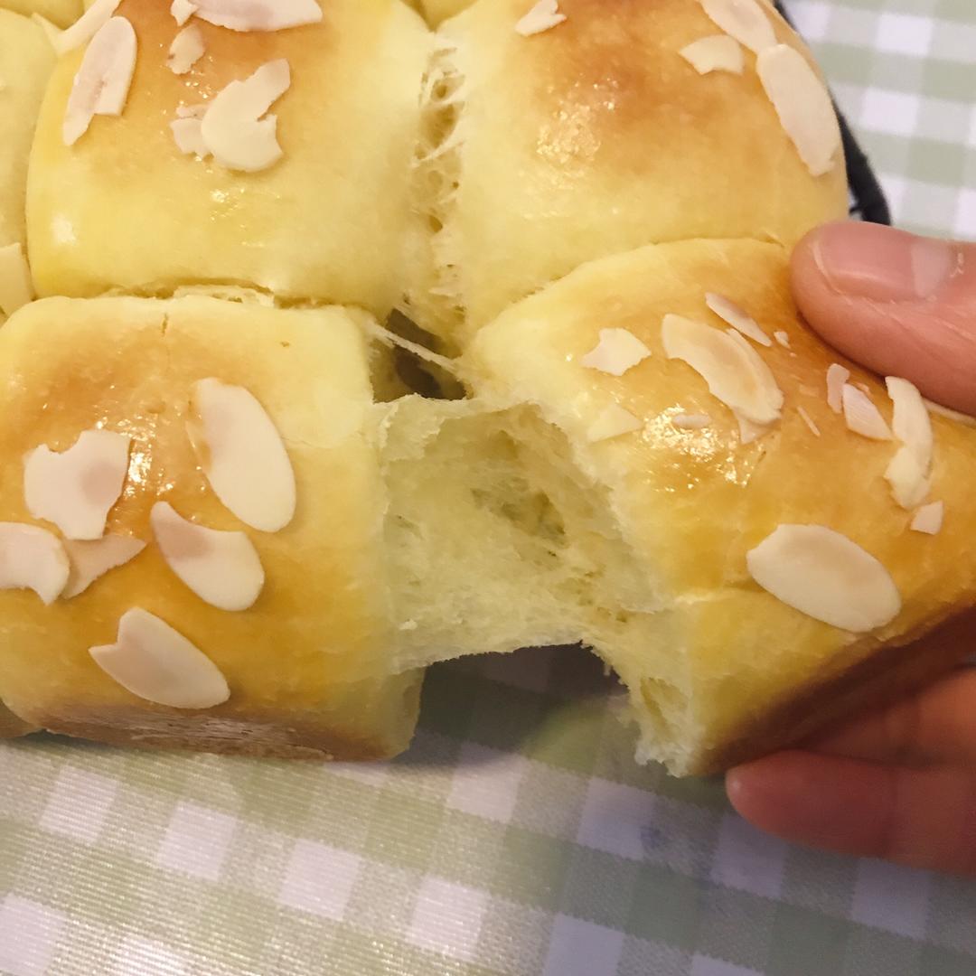 鲜奶油小餐包（一次发酵）