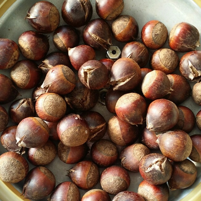 水煮板栗