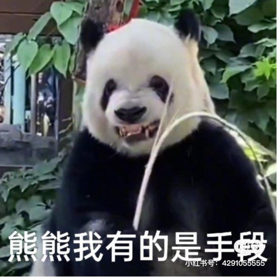 浪尖的牛牛