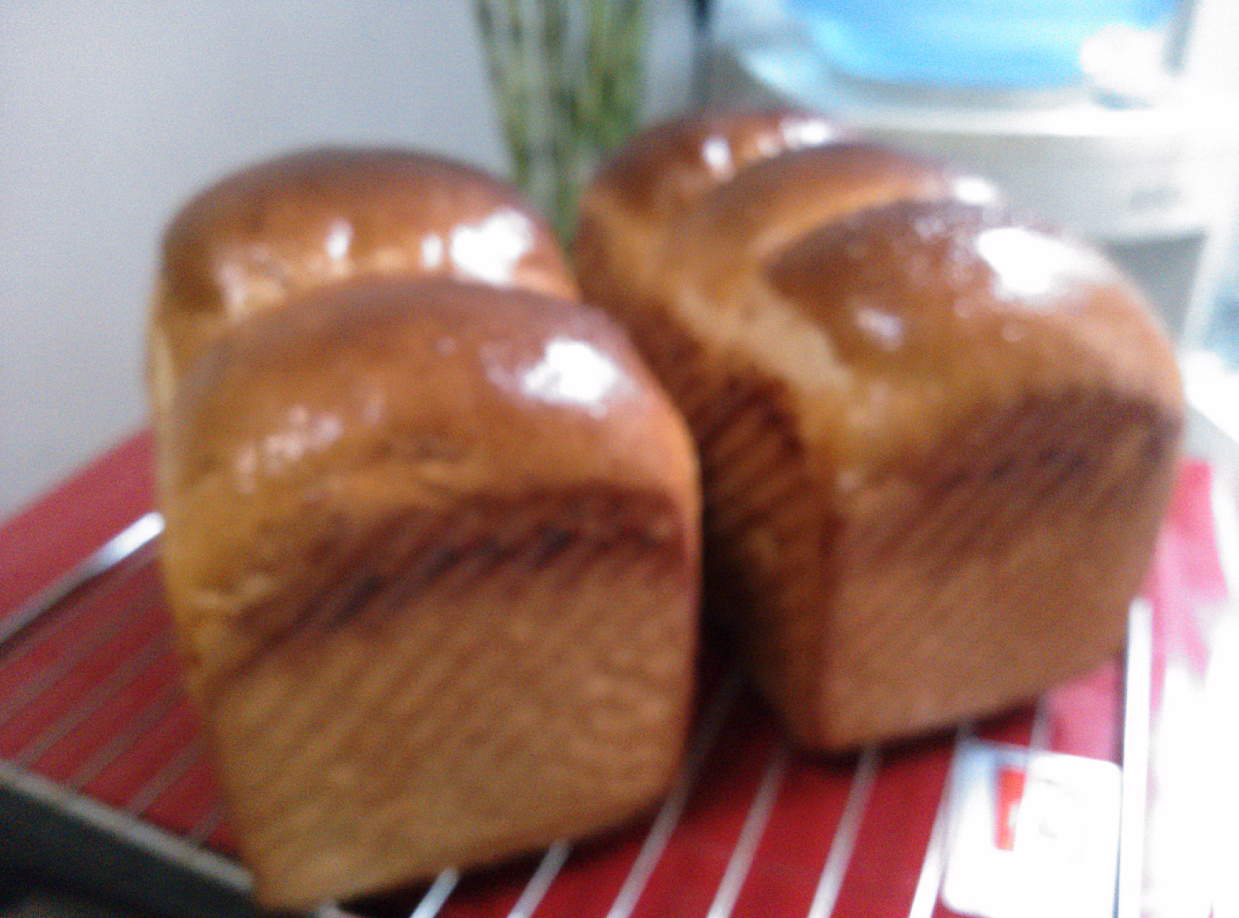 中种手撕北海道吐司