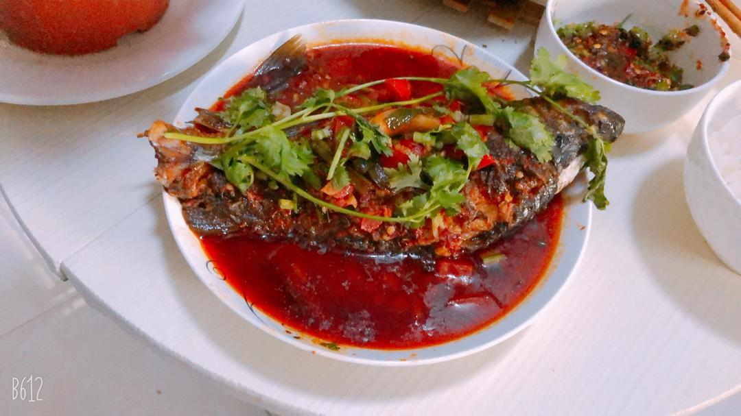 小叔子把我的狗炖了我转头将价值200万的白金龙鱼做成红烧鱼