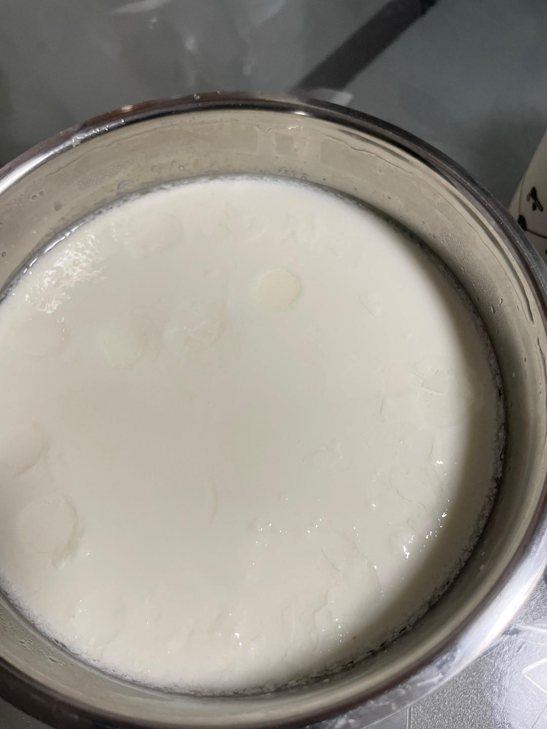 自制老酸奶
